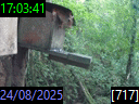 17:03:41