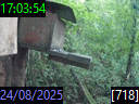 17:03:54