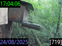 17:04:06
