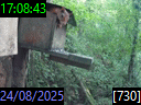 17:08:43