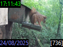 17:11:43