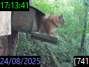 17:13:41