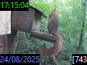 17:15:04