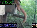 17:15:50