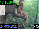 17:16:36