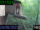 17:17:21