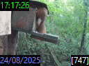 17:17:26