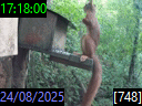17:18:00