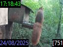 17:18:43