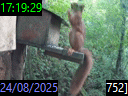 17:19:29