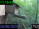 17:19:43