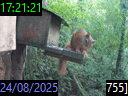 17:21:21