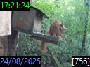 17:21:24