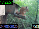 17:22:57