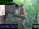 17:23:44