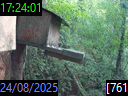 17:24:01