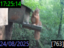 17:25:14