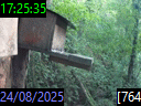 17:25:35