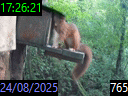17:26:21