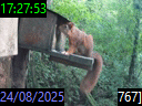 17:27:53