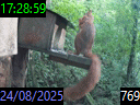 17:28:59