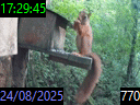 17:29:45