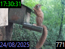 17:30:31