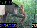 17:31:17