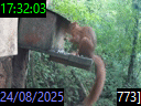 17:32:03