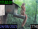 17:32:31
