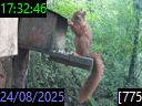 17:32:46