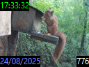 17:33:32