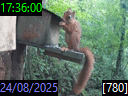 17:36:00