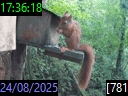 17:36:18