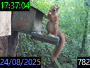 17:37:04