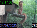 17:37:50