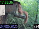 17:38:36