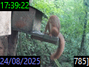 17:39:22