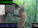 17:40:05