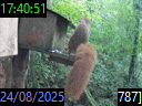 17:40:51