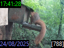17:41:28
