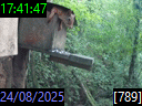 17:41:47