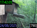 17:42:05