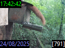 17:42:42