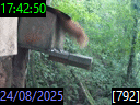 17:42:50