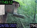 17:43:12