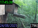 17:45:39