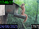 17:46:17