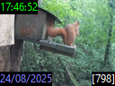 17:46:52