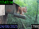 17:47:14